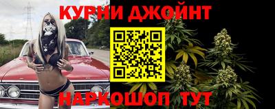сатива Берёзовский