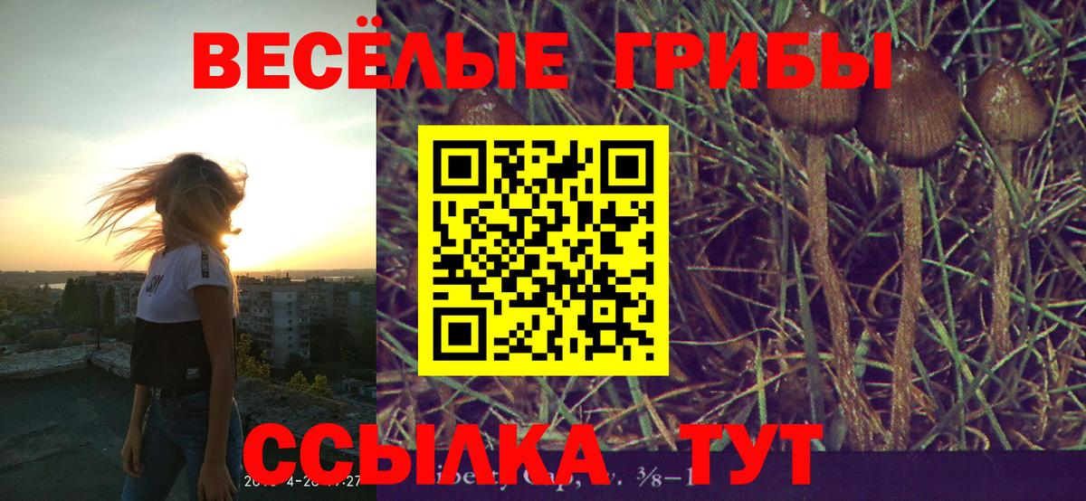 Зима  сколько стоит  Вход с VPN  Псилоцибиновые грибы MAGIC MUSHROOMS 