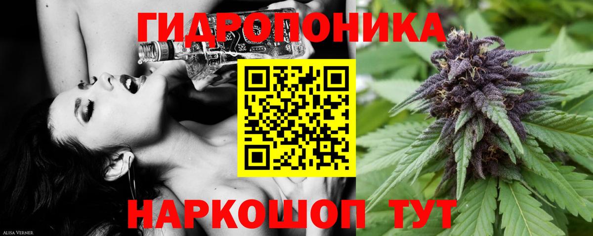 Зима  Бошки марихуана семена  Бошки марихуана VHQ  Вход с VPN 
